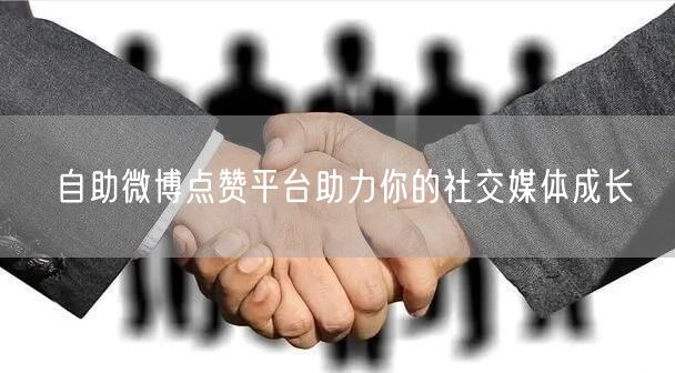 自助微博点赞平台助力你的社交媒体成长