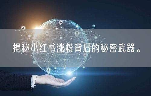 揭秘小红书涨粉背后的秘密武器。