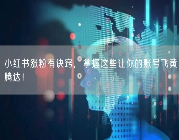 小红书涨粉有诀窍,掌握这些让你的账号飞黄腾达!