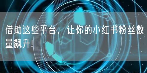 借助这些平台,让你的小红书粉丝数量飙升!