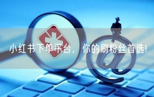 小红书下单平台,你的刷粉丝首选!