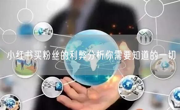 小红书买粉丝的利弊分析你需要知道的一切