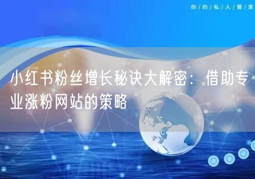 小红书粉丝增长秘诀大解密：借助专业涨粉网站的策略