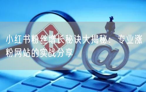 小红书粉丝增长秘诀大揭秘：专业涨粉网站的实战分享