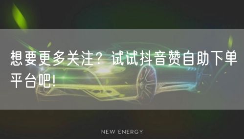 想要更多关注？试试抖音赞自助下单平台吧!