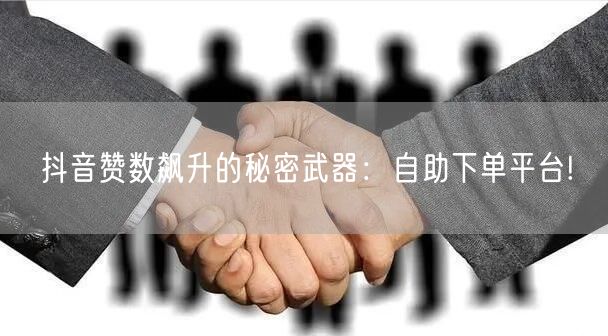 抖音赞数飙升的秘密武器：自助下单平台!