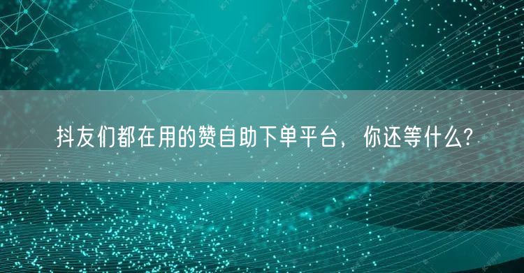 抖友们都在用的赞自助下单平台，你还等什么?