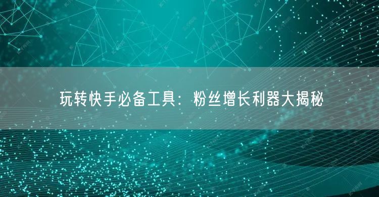 玩转快手必备工具：粉丝增长利器大揭秘