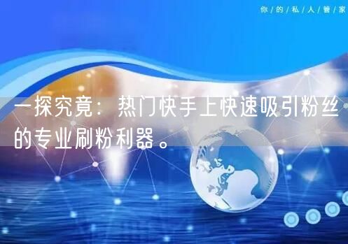 一探究竟：热门快手上快速吸引粉丝的专业刷粉利器。