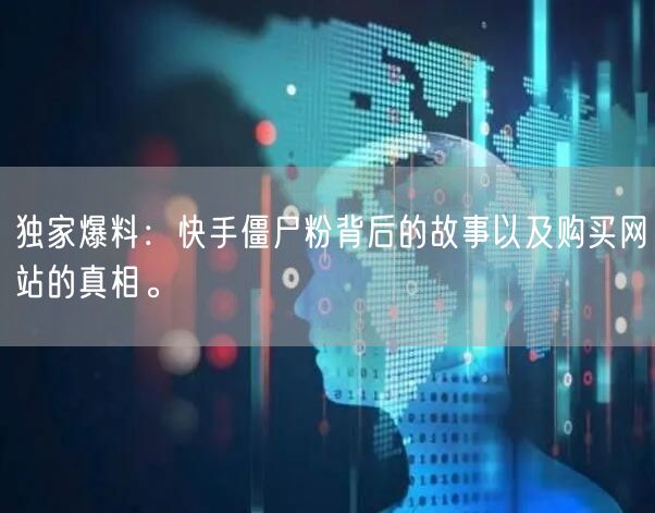独家爆料：快手僵尸粉背后的故事以及购买网站的真相。