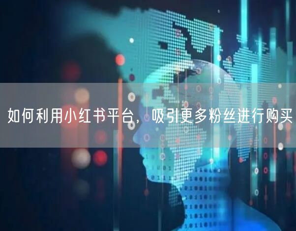 如何利用小红书平台，吸引更多粉丝进行购买