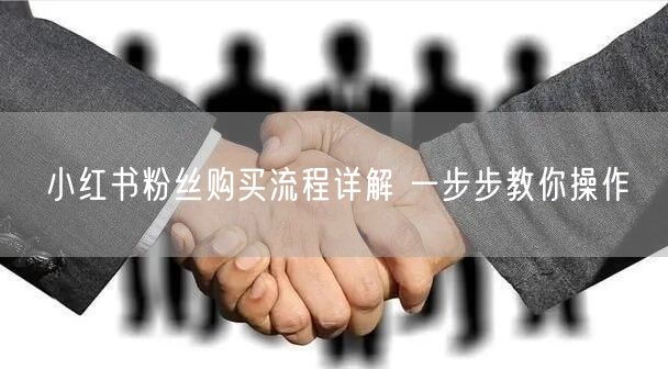 小红书粉丝购买流程详解 一步步教你操作