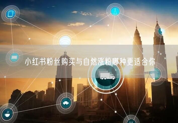 小红书粉丝购买与自然涨粉哪种更适合你