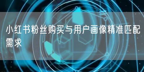 小红书粉丝购买与用户画像精准匹配需求