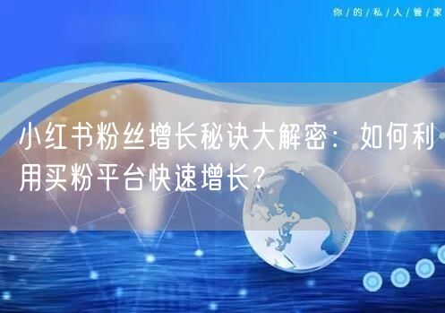 小红书粉丝增长秘诀大解密:如何利用买粉平台快速增长?