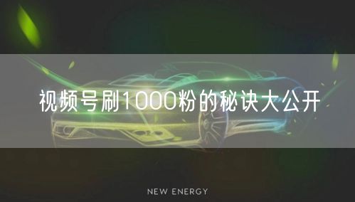 视频号刷1000粉的秘诀大公开