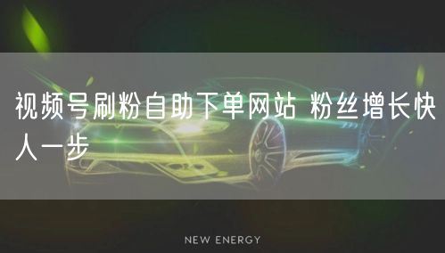 视频号刷粉自助下单网站 粉丝增长快人一步