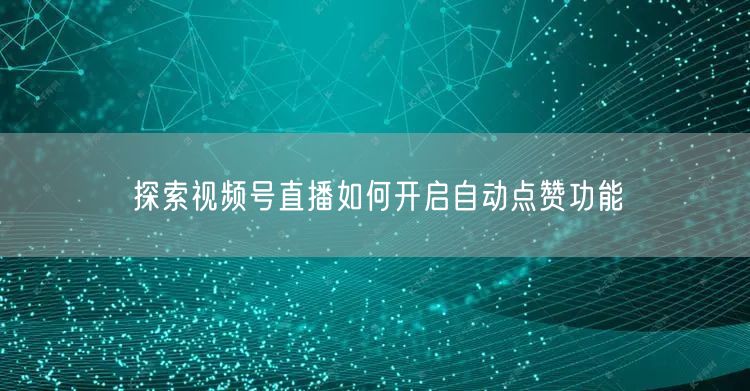 探索视频号直播如何开启自动点赞功能