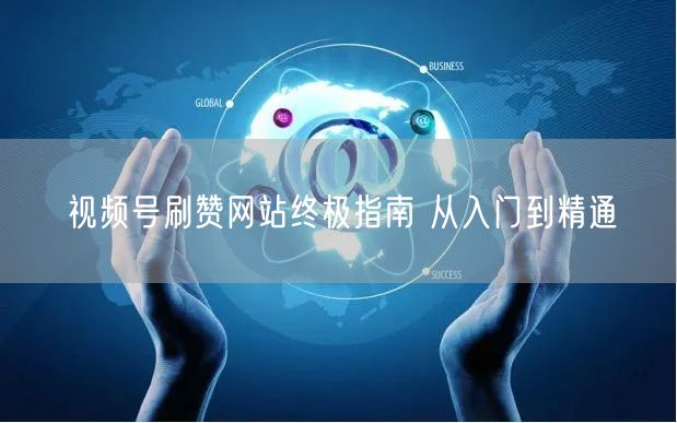 视频号刷赞网站终极指南 从入门到精通