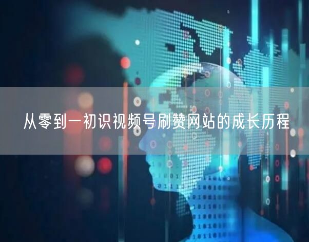 从零到一初识视频号刷赞网站的成长历程