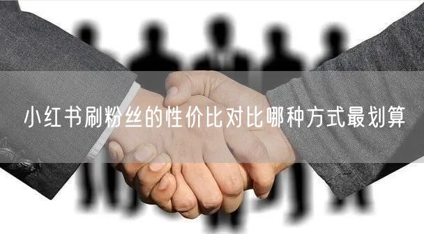 小红书刷粉丝的性价比对比哪种方式最划算